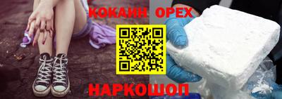СК Новодвинск