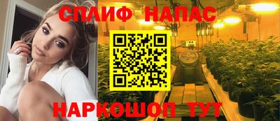 СК Новодвинск