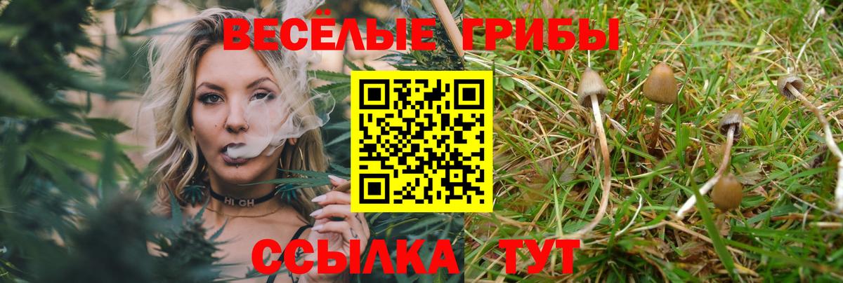 Мефедрон  АМФЕТАМИН   ГАШ  APVP СК кристаллы  Вход с VPN  МЕТАМФЕТАМИН  ЭКСТАЗИ  МЕФ   Углич  Бошки Шишки 